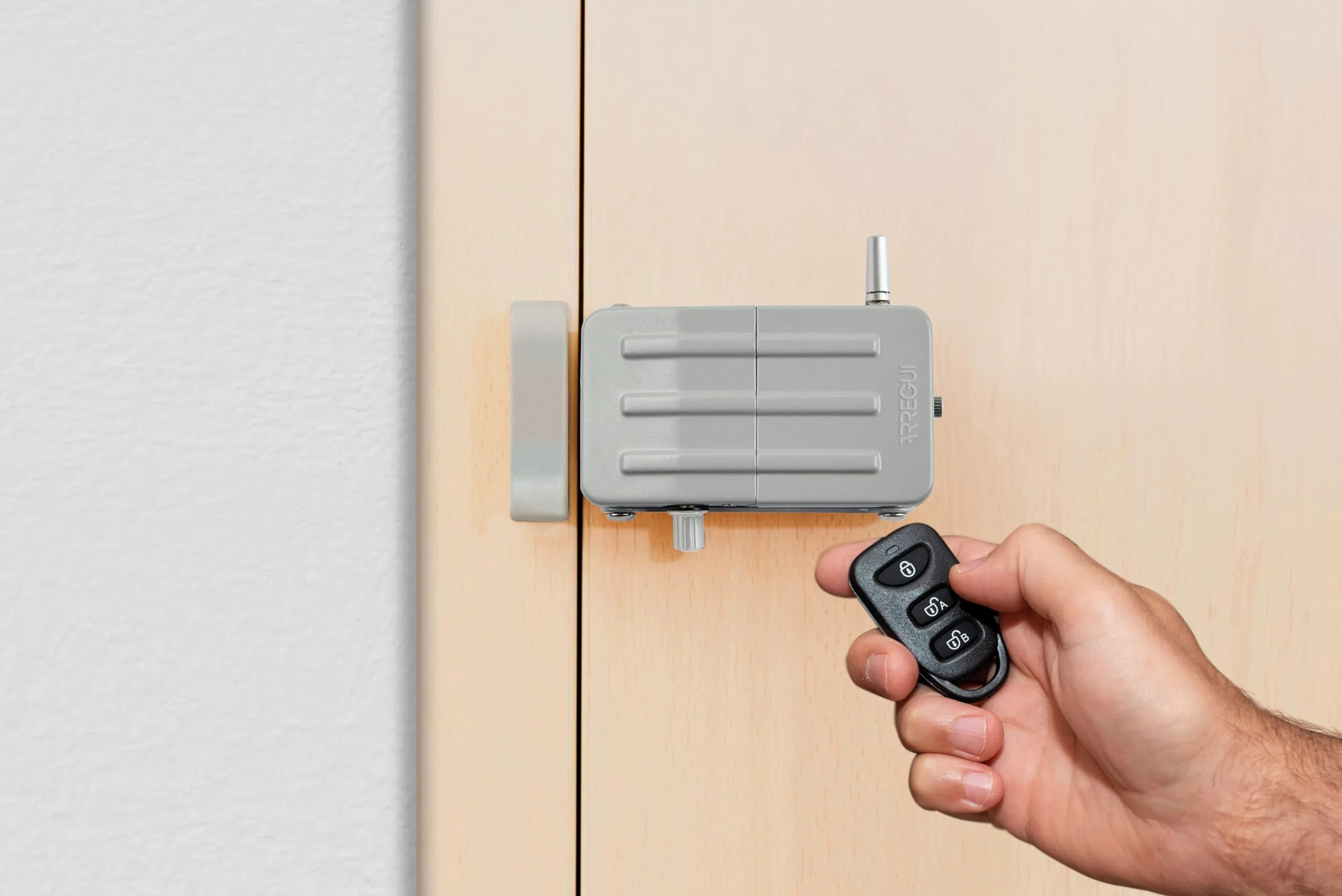 ARREGUI CI10P Cerradura de Seguridad Invisible para Puerta con 4 mandos a distancia | Antirrobo | Anti Okupas | Cerradura Electrónica para Puerta | Cerradura Inalámbrica | Cerrojo Interior | plata
