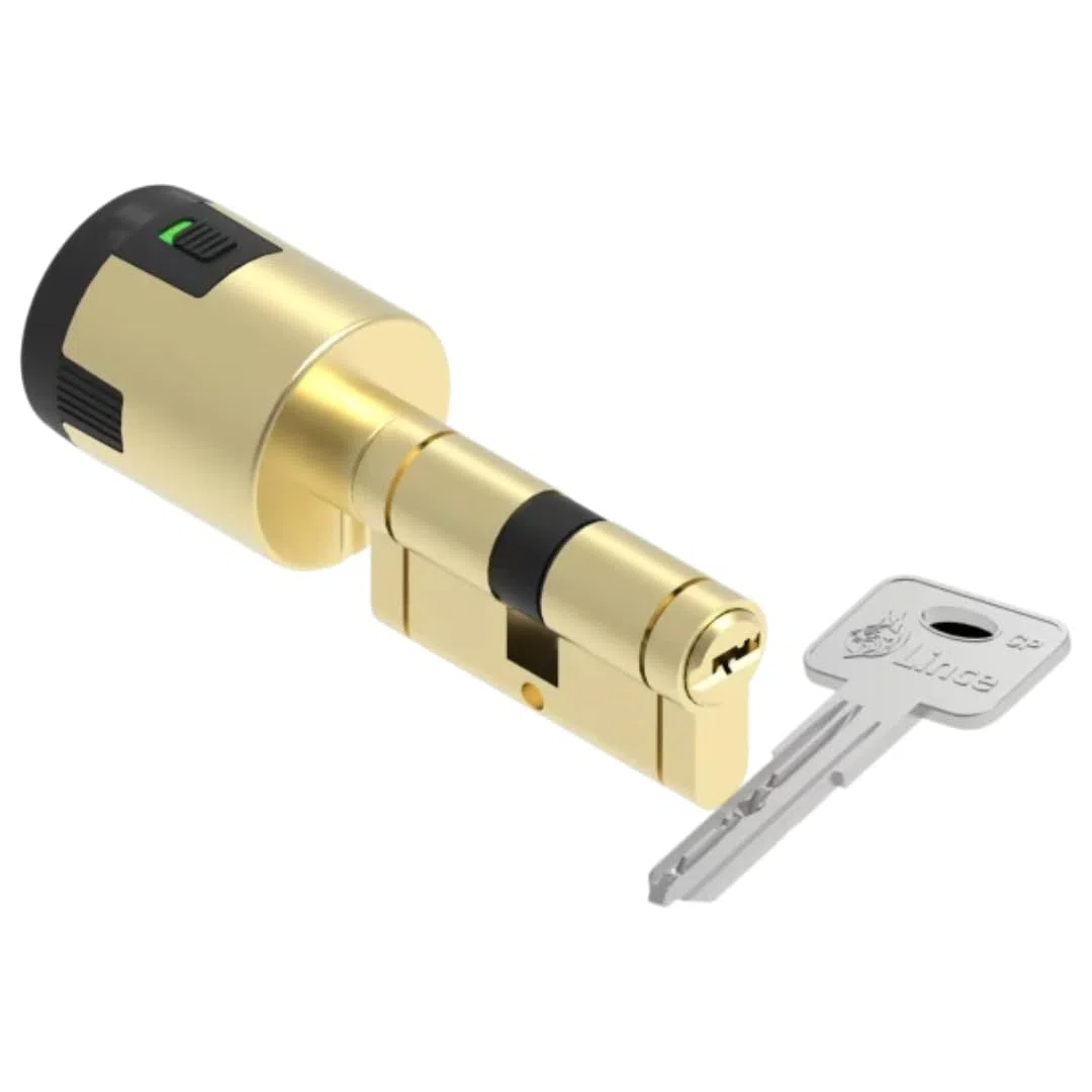 Lince - Cilindro CPLUS ALARM 30x30 cm | Bombillo de Alta Seguridad con Sensor Alarma Integrado de 100dB | Protección Anti-Bumping y Anti-Taladro | Incluye 5 Llaves XL | Acabado latón