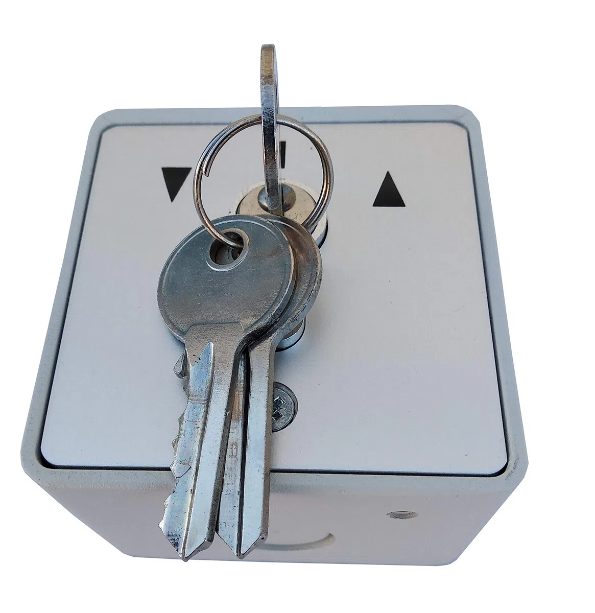 GEBA MSC-APZ1-2T/1 Surface Mount, Interruptor de llave: Función Momentary de dos vías con cilindro, para puertas automáticas de garaje y puertas.