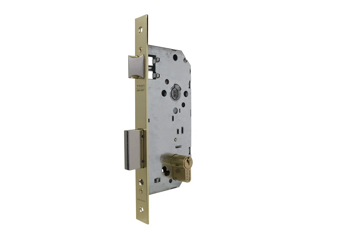 TESA 203050HL Cerradura De Embutir Para Puertas De Madera Con Cilindro Latonado Entrada 50 mm, Frente Cuadrado 2030