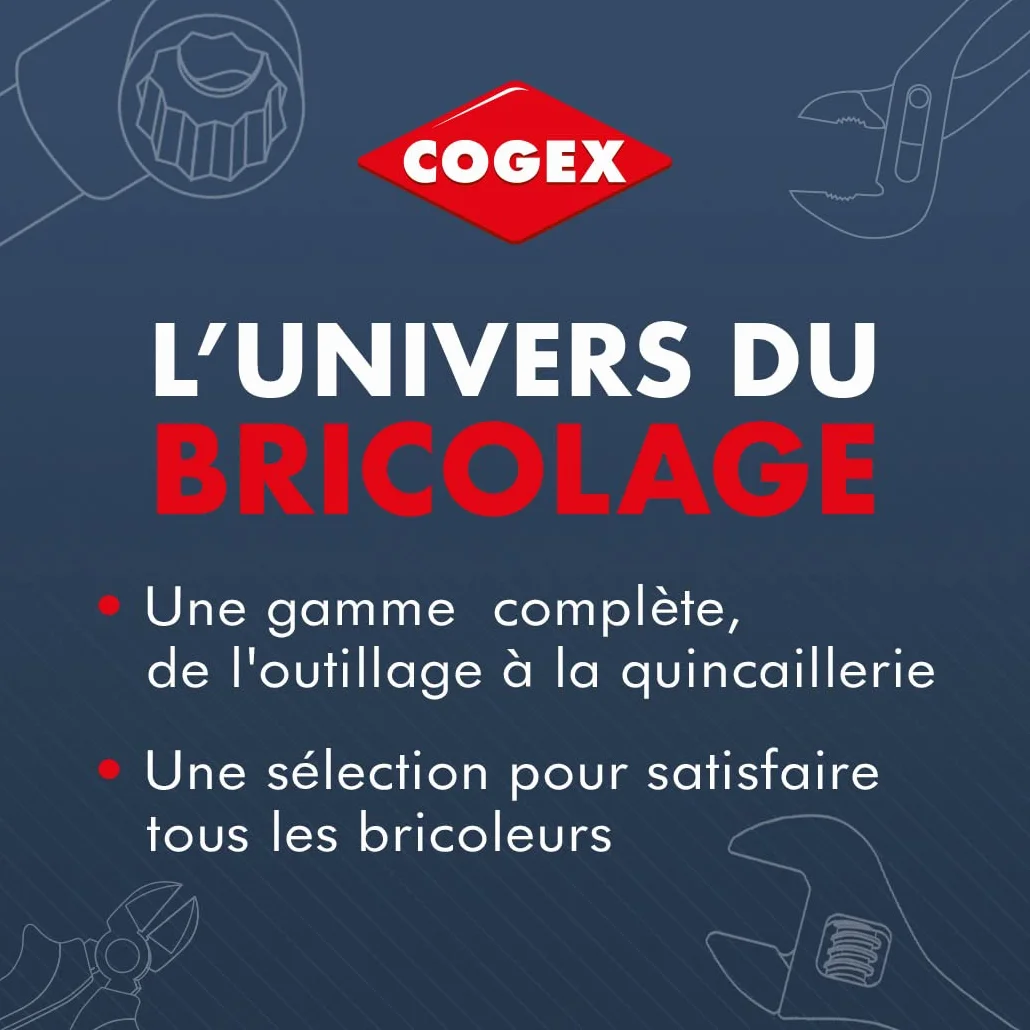 Cogex 58210 - Bandeja de pintura