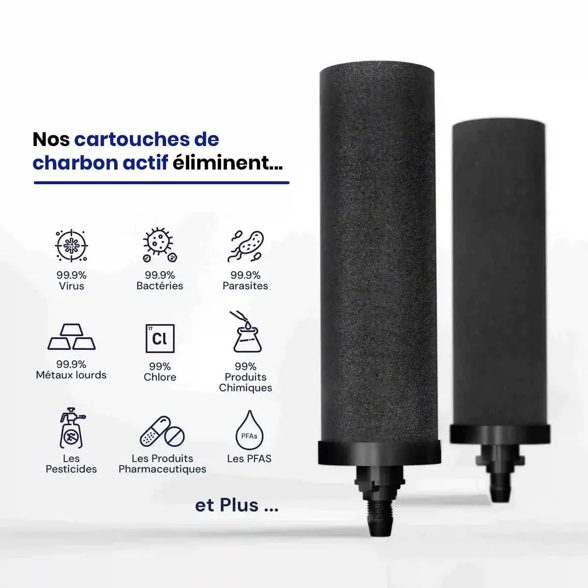 Phoenix Gravity - Sistema de filtración de agua de encimera de 12 litros, certificado NSF, acero inoxidable AISI 304, con 2 cartuchos Smart Carbon y POSTreat, y soporte de madera