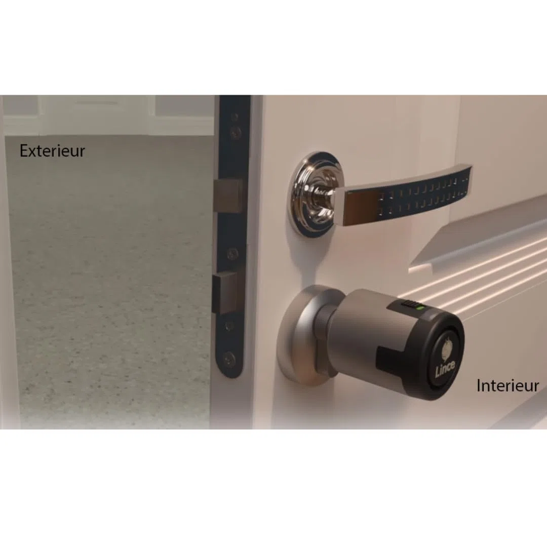Lince - Cilindro CPLUS ALARM 30x30 cm | Bombillo de Alta Seguridad con Sensor Alarma Integrado de 100dB | Protección Anti-Bumping y Anti-Taladro | Incluye 5 Llaves XL | Acabado latón