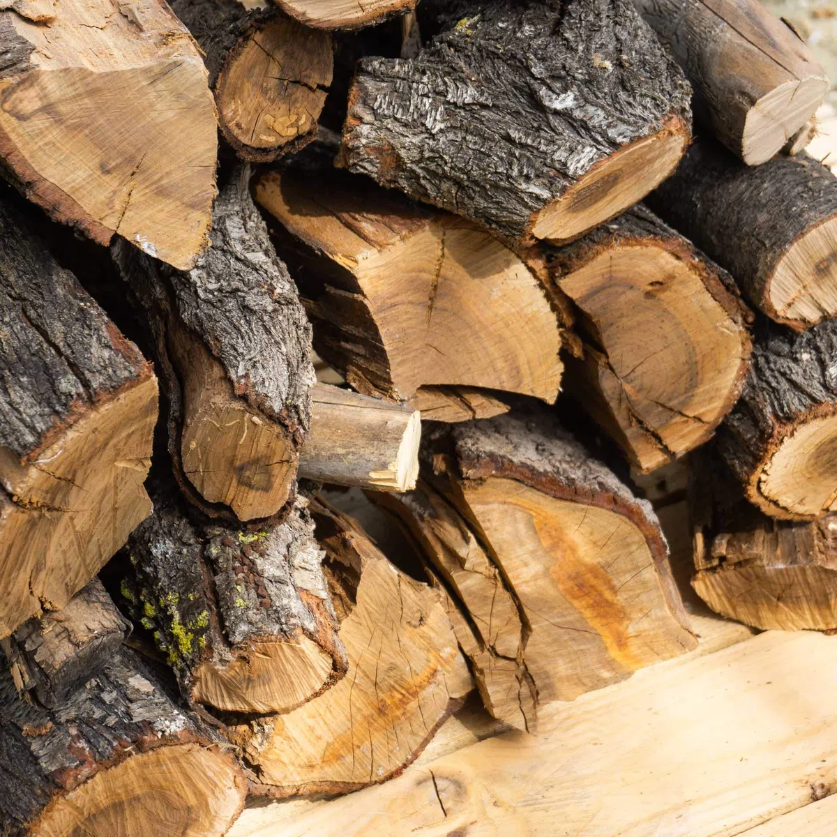 22 kg, 30 litros leña para Chimenea variada, Alto Poder calorífico. Troncos Cortos 40 cm, Estufa, Barbacoa, Fuego al Aire Libre, tala sostenible